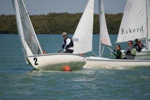 Picture 39