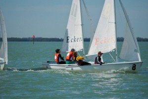 Picture 4