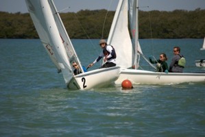 Picture 41