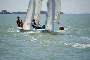 Picture 42