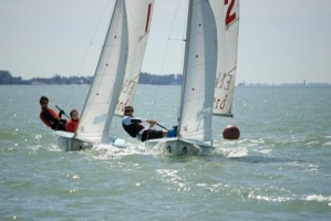 Picture 43