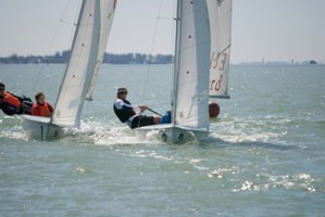 Picture 44