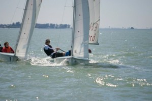 Picture 45