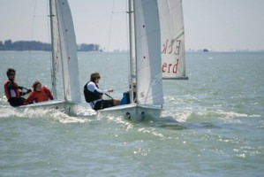 Picture 46