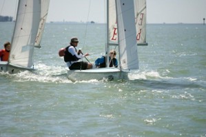 Picture 47