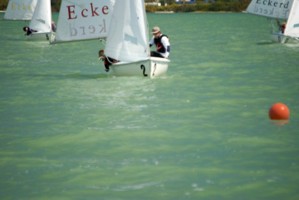 Picture 52