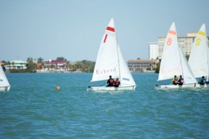 Picture 6