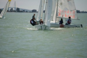 Picture 62