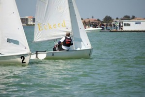 Picture 81