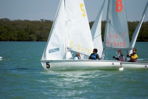 Picture 9