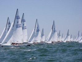 Picture 11