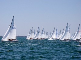 Picture 12
