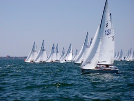 Picture 13