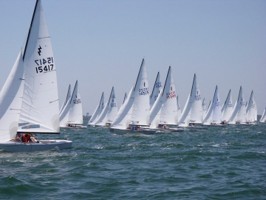 Picture 14