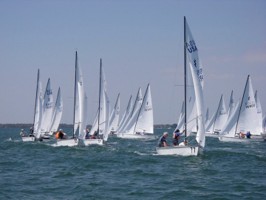 Picture 15