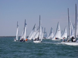 Picture 16