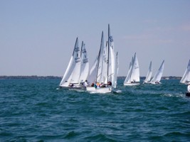 Picture 17