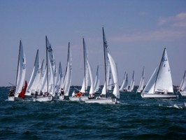 Picture 19