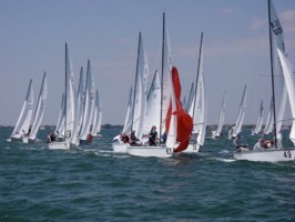 Picture 20