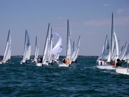 Picture 21