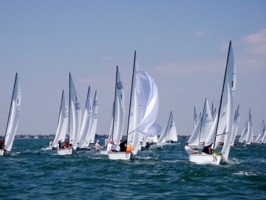 Picture 22