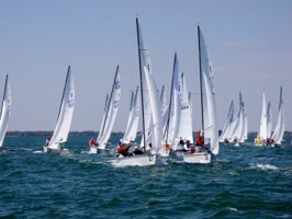 Picture 23
