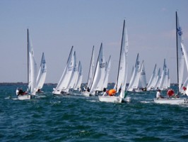 Picture 24