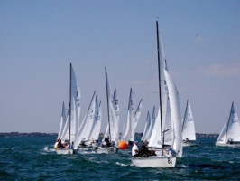 Picture 25