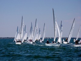 Picture 27