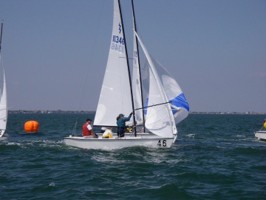 Picture 28