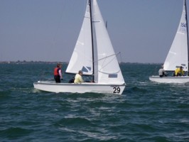 Picture 29