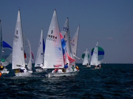 Picture 30