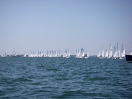Picture 33