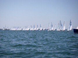 Picture 34