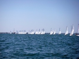 Picture 35