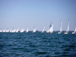 Picture 37
