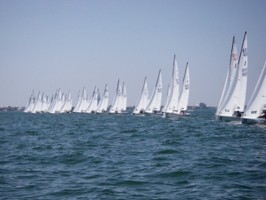 Picture 39