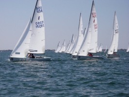 Picture 41