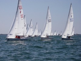 Picture 42