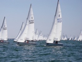 Picture 43