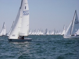 Picture 44
