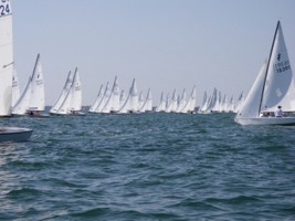 Picture 45