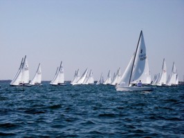 Picture 46