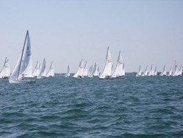 Picture 48