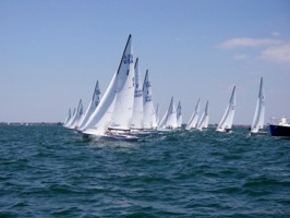 Picture 9