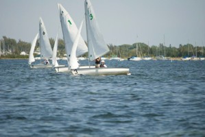 Picture 11