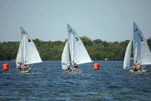 Picture 12