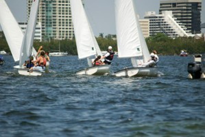 Picture 17