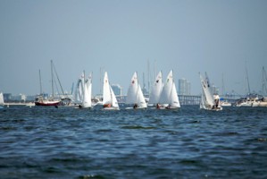 Picture 18