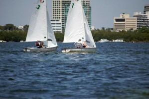Picture 19